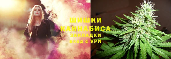 тгк Бронницы