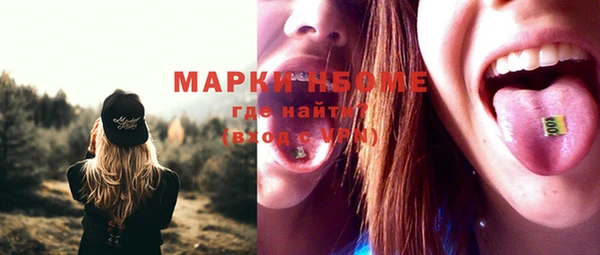 тгк Бородино