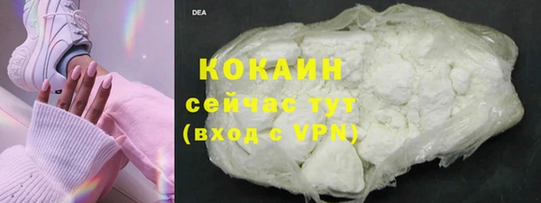 тгк Бородино