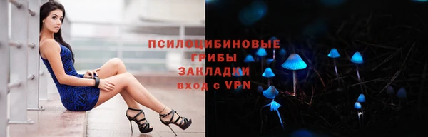 тгк Бородино