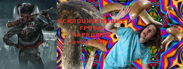 тгк Бородино