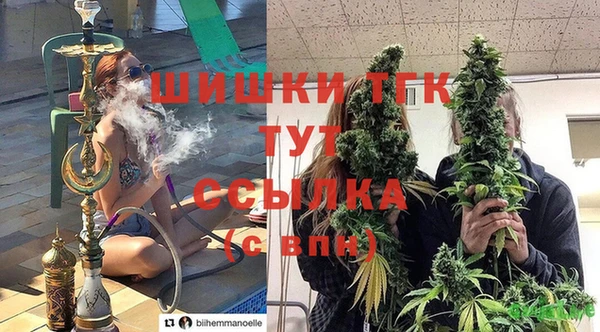 тгк Бронницы