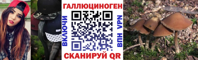 продажа наркотиков  Горняк  Галлюциногенные грибы ЛСД 